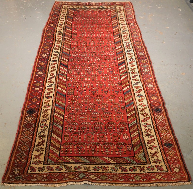 Antique Kurdish Long Rug With Boteh Design-cotswold-oriental-rugs-p1010239-main-637744022801488180.JPG