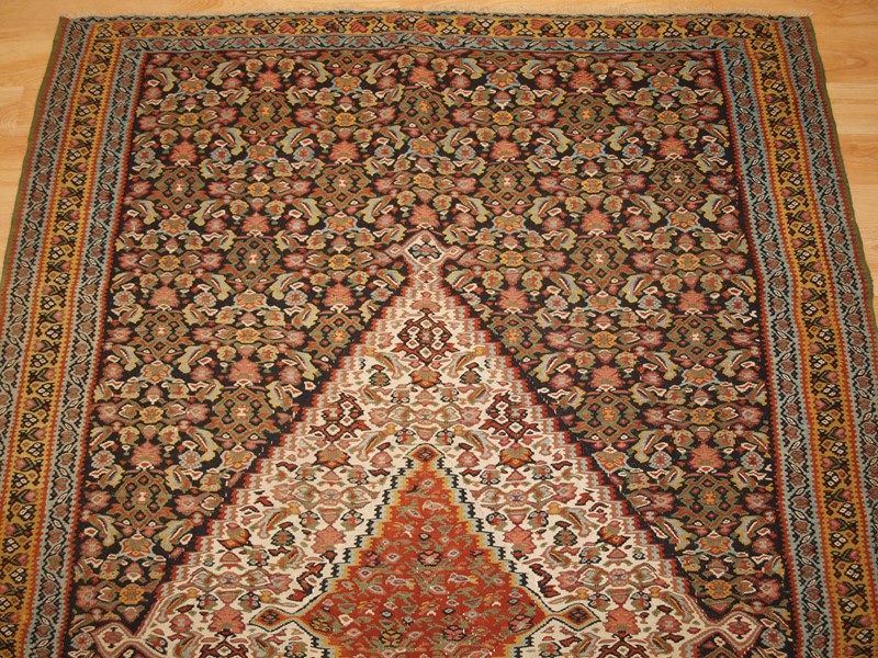 A Fine Persian Senneh Kilim With Medallion Design-cotswold-oriental-rugs-p1089130-main-637884692304988405.JPG