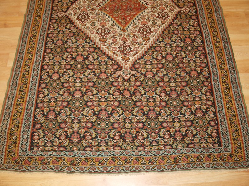 A Fine Persian Senneh Kilim With Medallion Design-cotswold-oriental-rugs-p1089132-main-637884692484862576.JPG