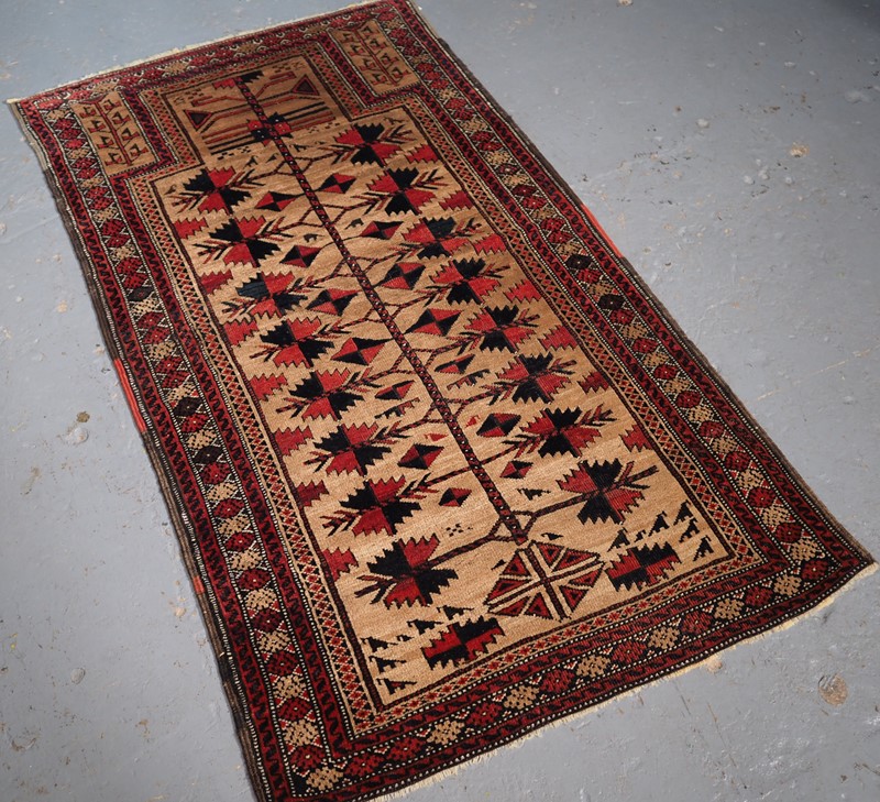 Antique Baluch Rug With Camel Ground, Tree Of Life-cotswold-oriental-rugs-p1190106-main-637792198779114035.JPG