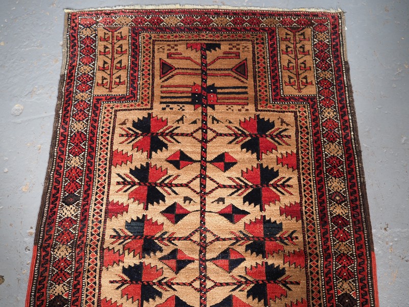 Antique Baluch Rug With Camel Ground, Tree Of Life-cotswold-oriental-rugs-p1190107-main-637792198796609275.JPG