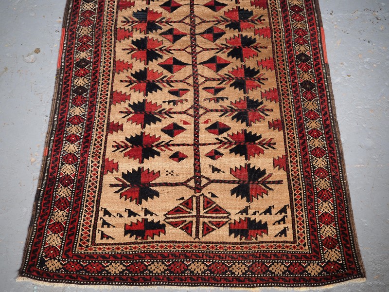 Antique Baluch Rug With Camel Ground, Tree Of Life-cotswold-oriental-rugs-p1190108-main-637792198817236112.JPG