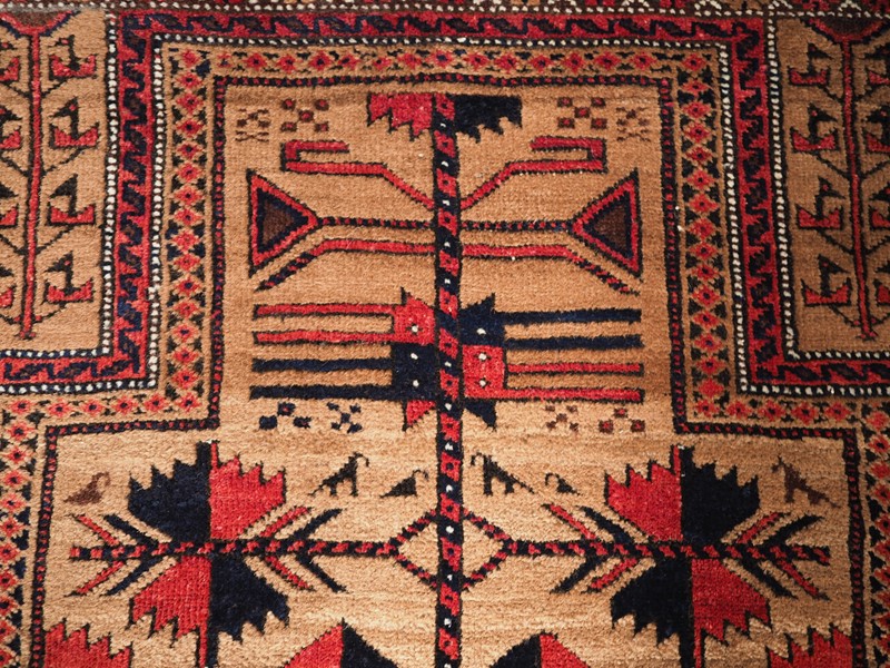 Antique Baluch Rug With Camel Ground, Tree Of Life-cotswold-oriental-rugs-p1190110-main-637792198859266498.JPG