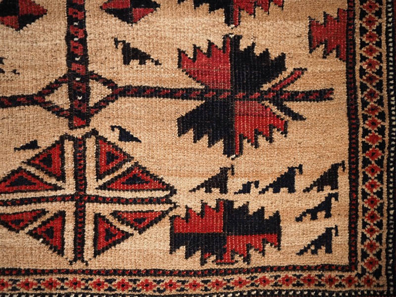 Antique Baluch Rug With Camel Ground, Tree Of Life-cotswold-oriental-rugs-p1190112-main-637792198902079804.JPG