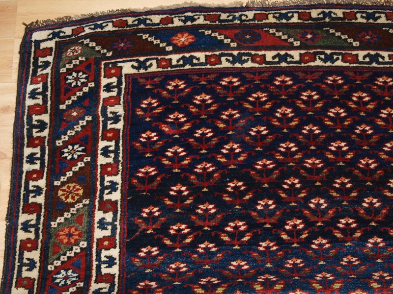 Antique Kurdish Long Rug With A Fine Shrub Design-cotswold-oriental-rugs-p2074081-main-637848397646175006.JPG