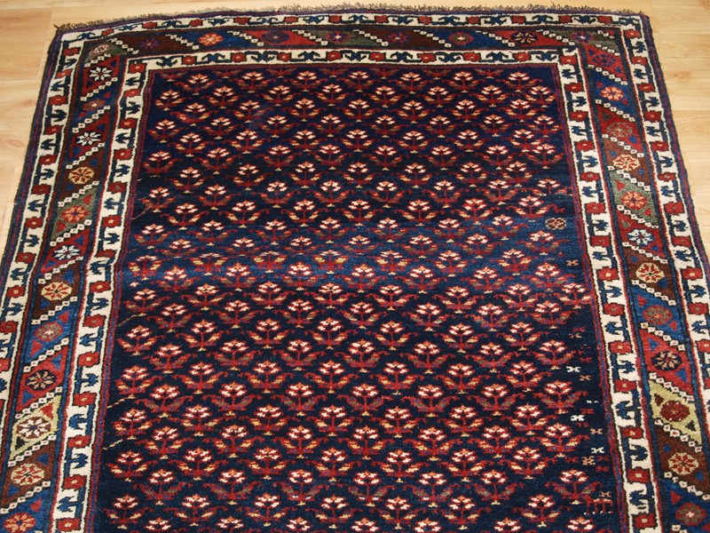 Antique Kurdish Long Rug With A Fine Shrub Design-cotswold-oriental-rugs-p2074082-main-637848397678206003.JPG