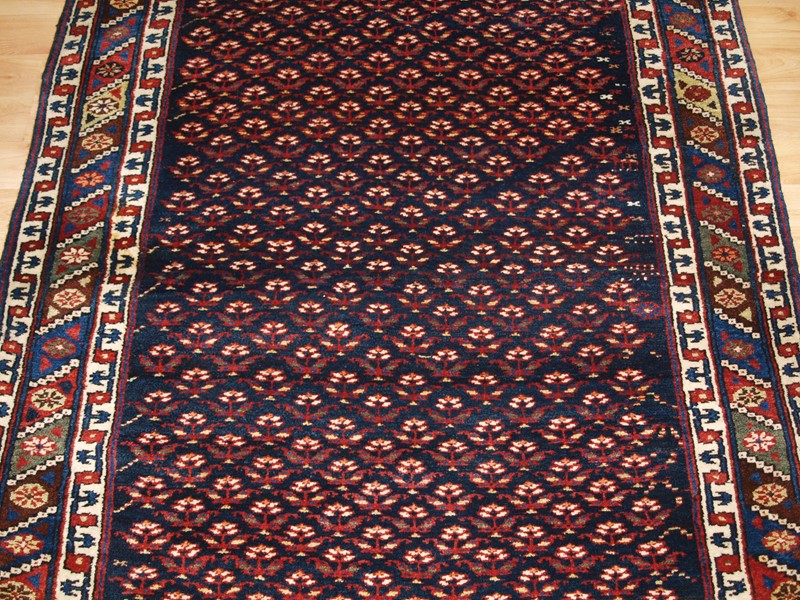 Antique Kurdish Long Rug With A Fine Shrub Design-cotswold-oriental-rugs-p2074083-main-637848397713518738.JPG
