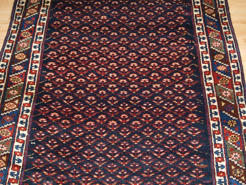 Antique Kurdish Long Rug With A Fine Shrub Design-cotswold-oriental-rugs-p2074084-main-637848397741487041.JPG