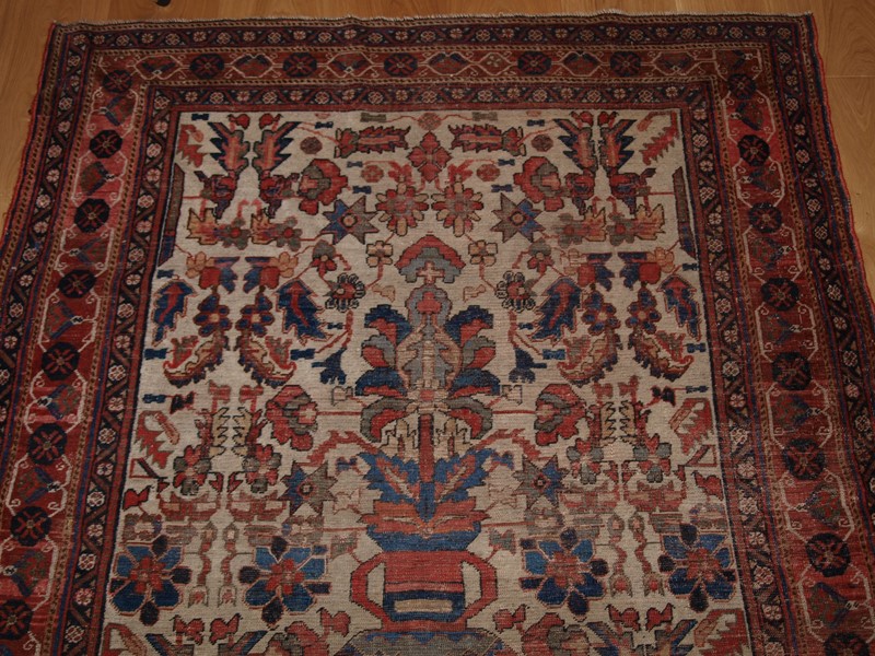 Antique Afshar Vase Design Rug-cotswold-oriental-rugs-p3011107-main-637781135684243636.JPG