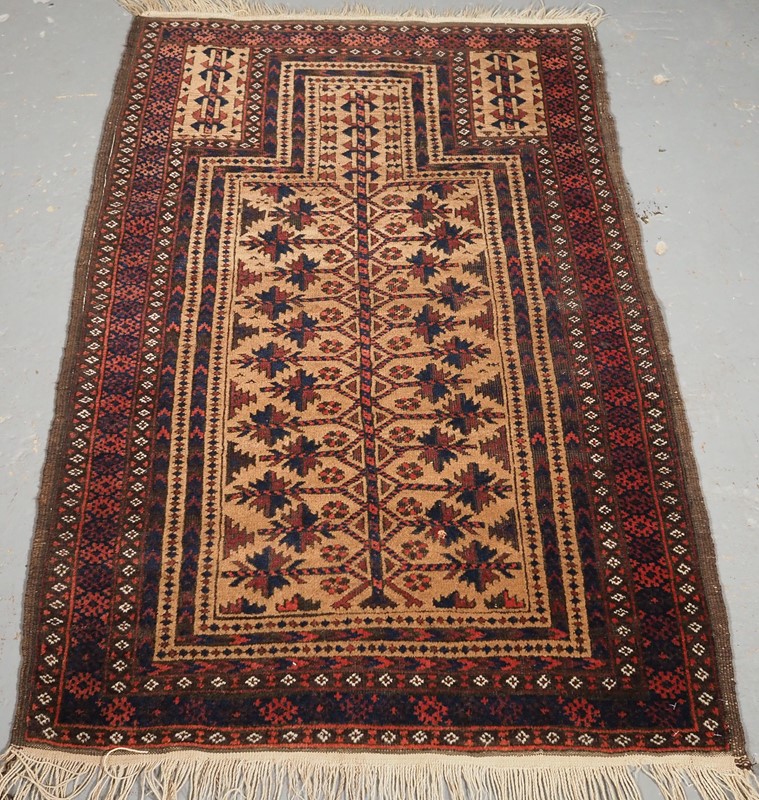 Antique Baluch camel ground prayer rug-cotswold-oriental-rugs-pb060107-main-637744006650755248.JPG