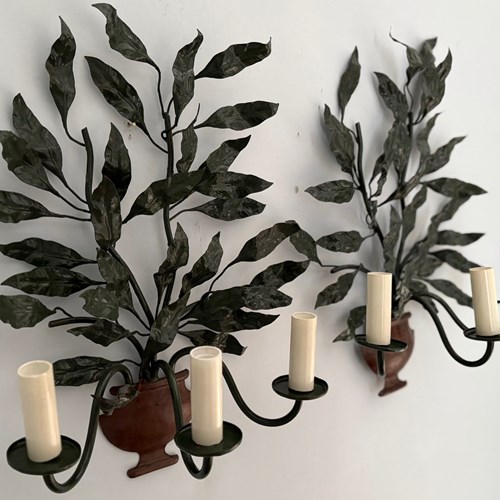 A Pair Of Good Sized Vintage French Painted Tole 'Potted Bay Tree' Wall Sconces