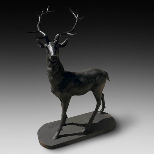 Life Size Early 20Th Century English Bronze Stag