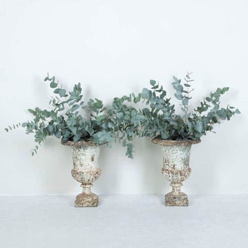 Pair Of 19Th Century Cast Iron Urns