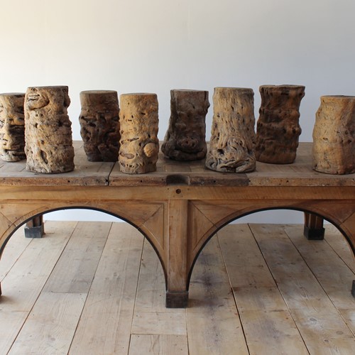 Root Wood Plinths