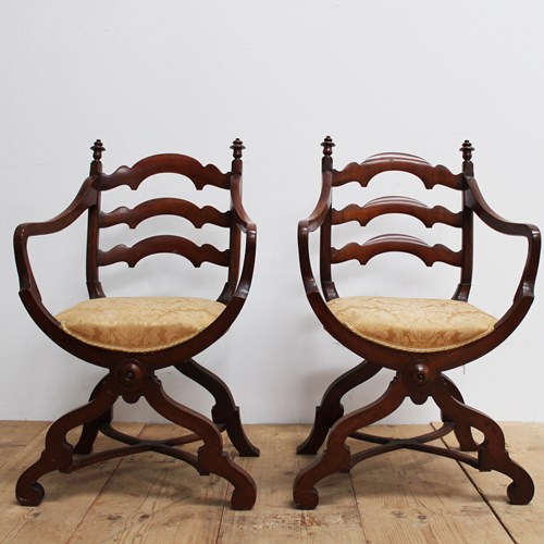 Pair Of 19Th Century Chairs