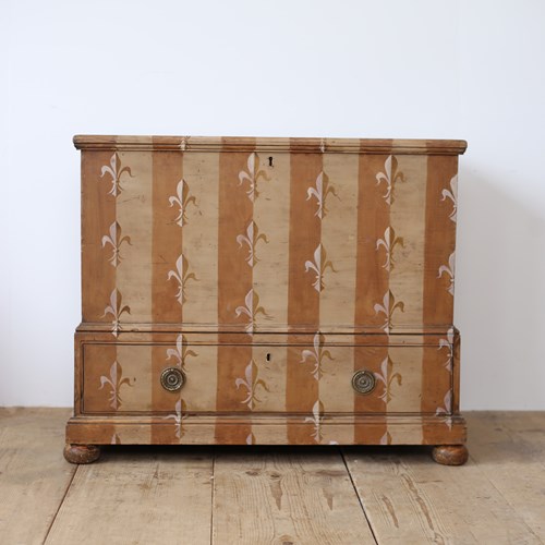 19Th Century Mule Chest