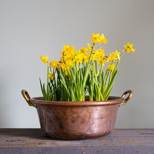 Antique Copper Pot Planter