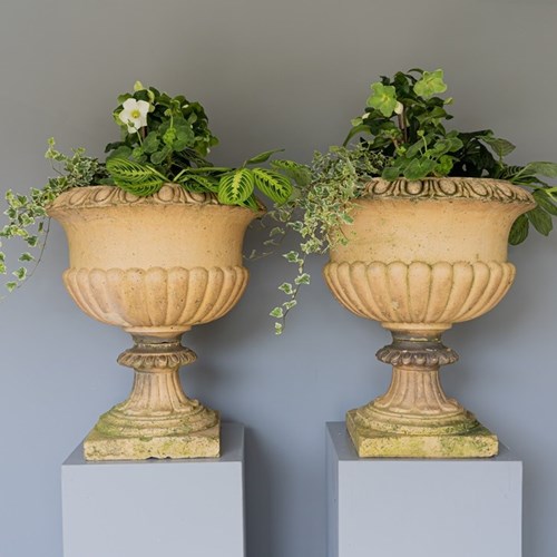 Pair Of Buff Terracotta Garden Urns