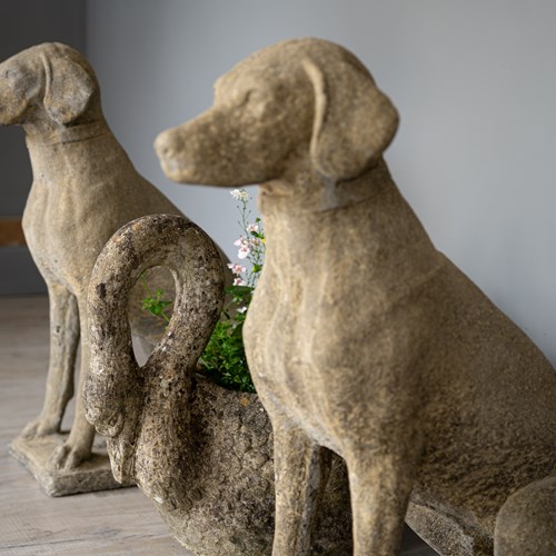 A Pair Of Vintage Dog Garden Statues