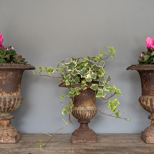 Trio Cast Iron Decorative Mini Urns