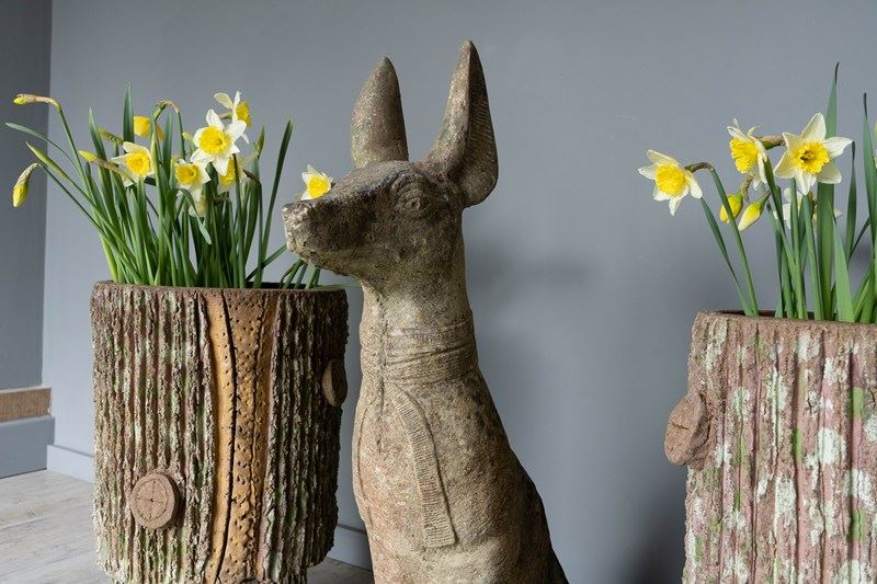 Anubis Garden Dog Statue-decorative-garden-antiques-dsc05995-main-638207010637852923.jpg
