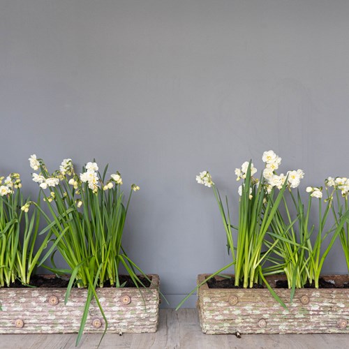 A Pair Antique Faux Bois Garden Planters