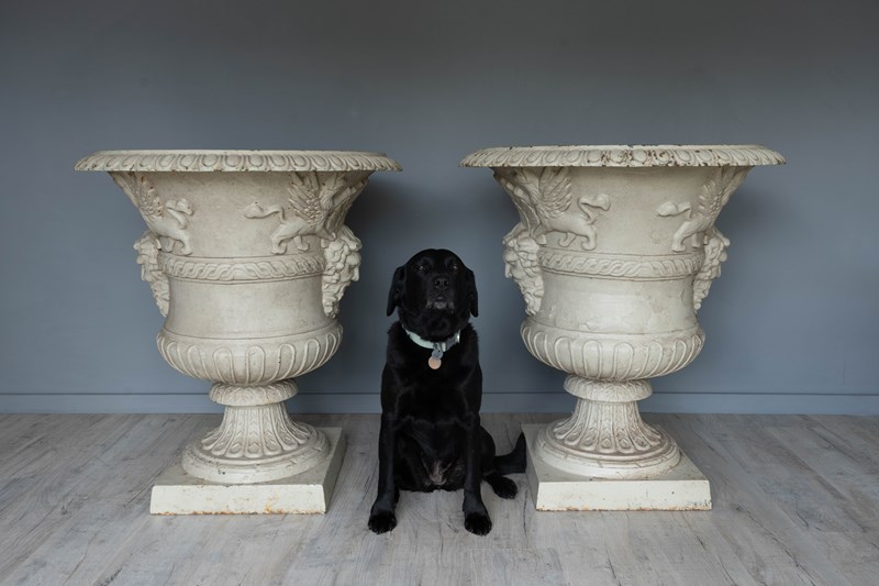 A Pair Of Very Large Scale Cast Iron Urns-decorative-garden-antiques-dsc07418-main-638206051428405010.jpg