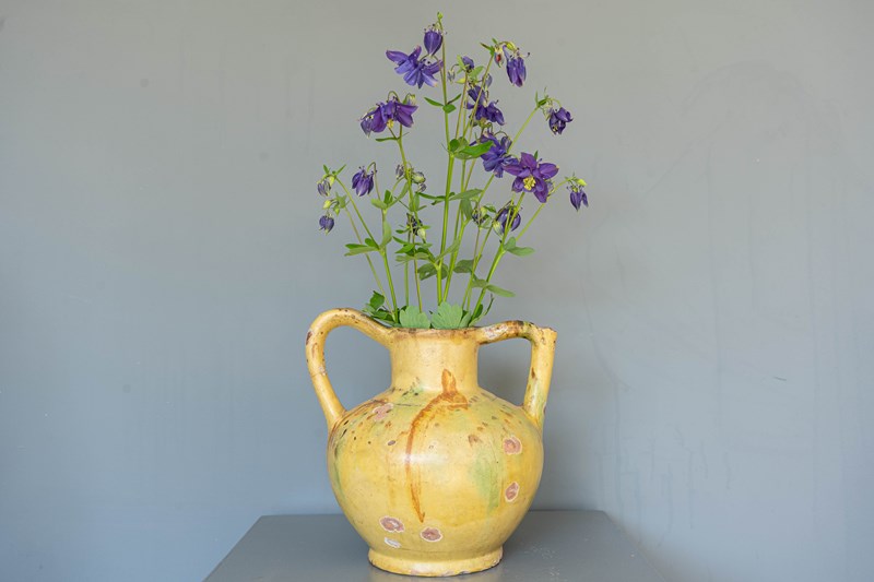 Antique French Olive Jar-decorative-garden-antiques-dsc07554-main-638248440371105261.jpg