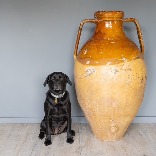 Large Ochre Coloured Floor Standing Olive Jar