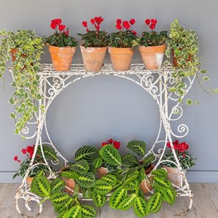 Antique Wirework Plant Stand