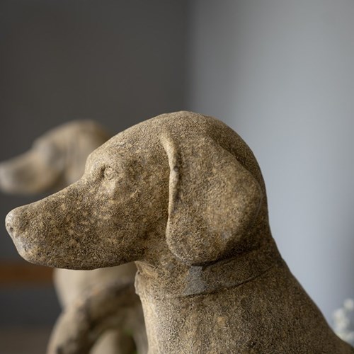 A Pair Of Vintage Dog Garden Statues