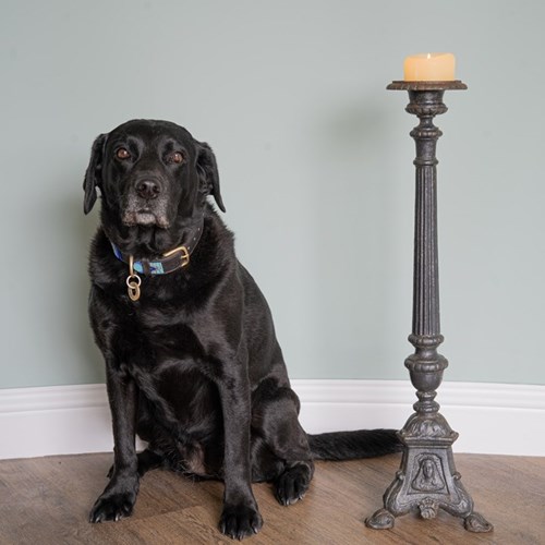 Antique Cast Iron Candlestick