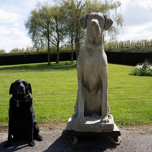 Impressive Cast Stone Garden Great Dane Statue