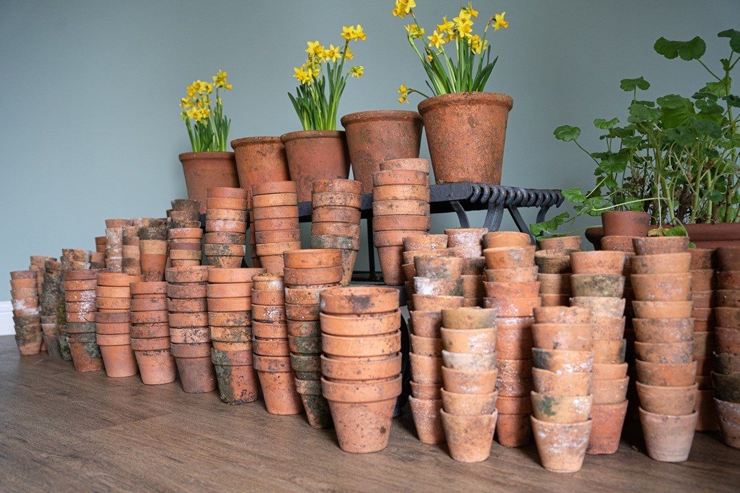 Multiple Terracotta Plant Pots - Decorative Collective