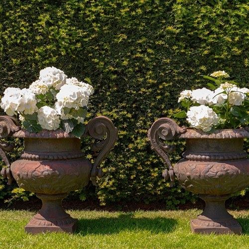A Pair Of Antique Cast Iron French Garden Urns