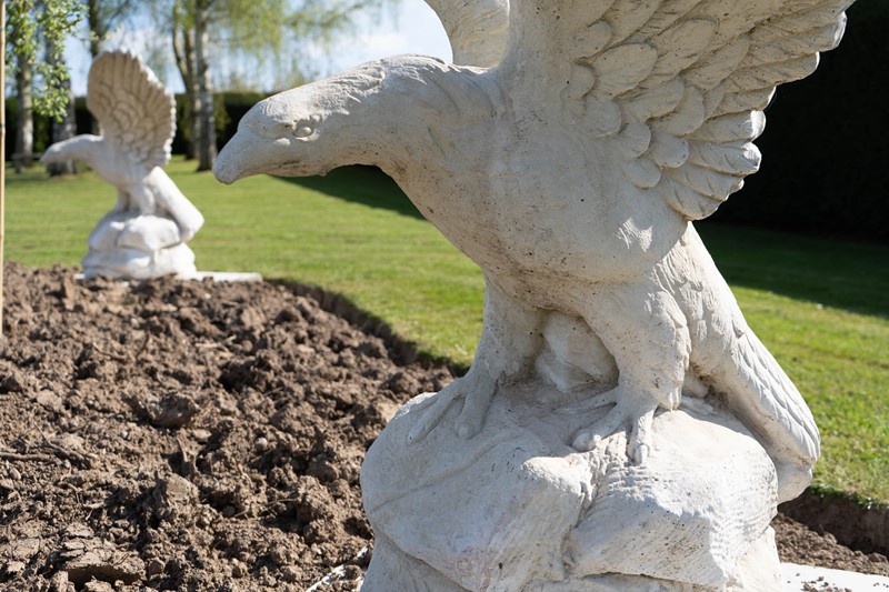A pair of Cast Stone Giant Eagle Garden Statues-decorative-garden-antiques-untitled-11-main-637903037731873197.jpg