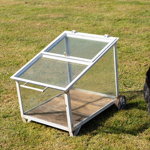 Mini Vintage Greenhouse/Cloche on Wheels – White