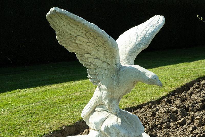 A pair of Cast Stone Giant Eagle Garden Statues-decorative-garden-antiques-untitled-8-main-637903037627654717.jpg
