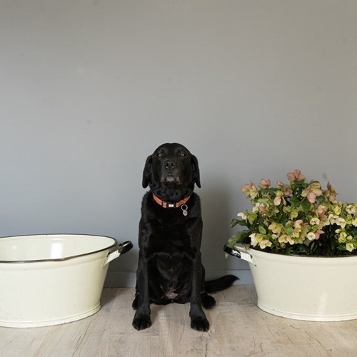 Vintage Cream Pair Of Enamel Planters