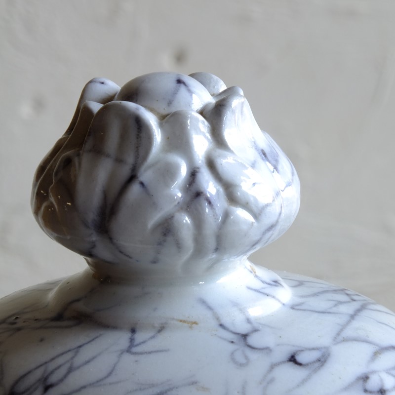 19th century porcelain vase by Primavesi & Sons -desired-effect-antiques-dscf2745-main-637960938097837091.JPG