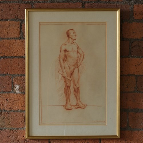 20Th Century Male Nude Study