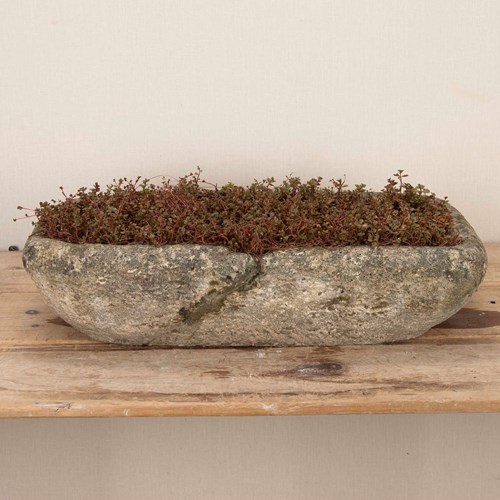 19Th Century French Oblong Stone Planter