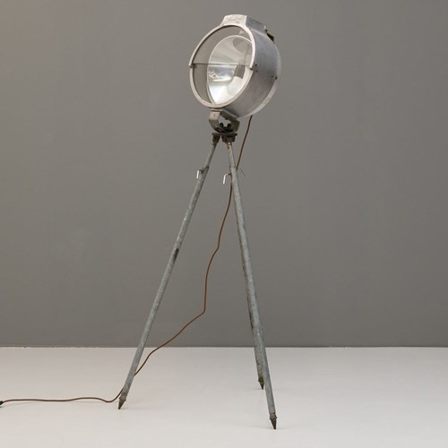 British Bullfinch Floodlight