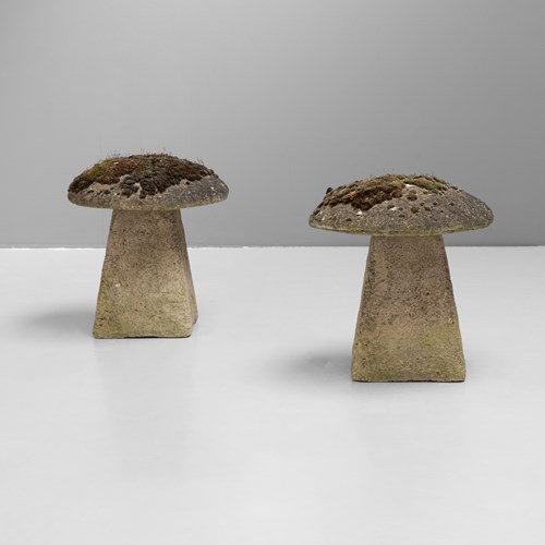 Pair Of Stone Mushrooms