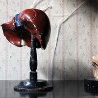 German Anatomical Model of a Liver on Stand c.1890