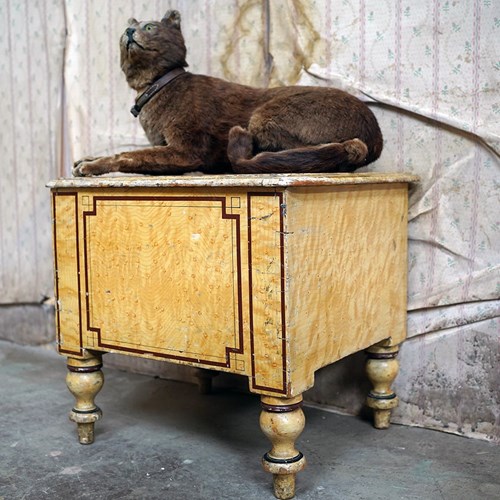 Early Victorian Birdseye Maple Simulated Painted Pine Commode C.1840-50