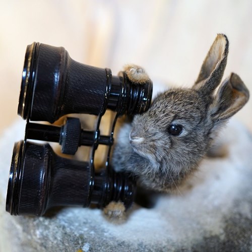 Doe & Hope X Hannah Matthews; Act VIII; Unique