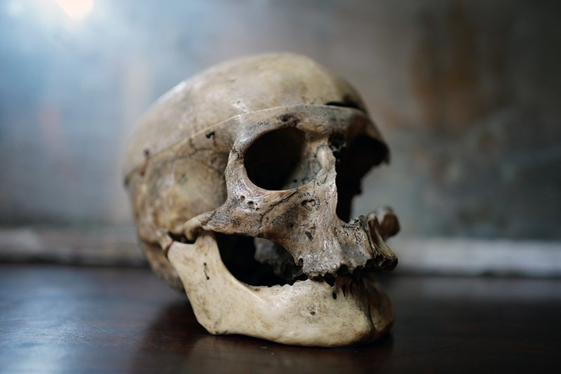 19thC Phrenologically Inscribed Human Skull-doe-and-hope-humaninscribedmedicalskull1-main-637594423754938960.jpg