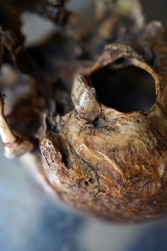 19thC Phrenologically Inscribed Human Skull-doe-and-hope-humaninscribedmedicalskull18-main-637594426208519517.jpg