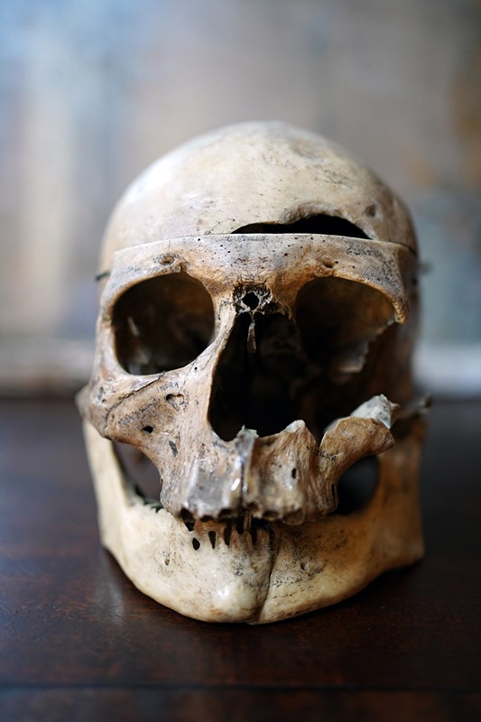 19thC Phrenologically Inscribed Human Skull-doe-and-hope-humaninscribedmedicalskull2-main-637594424114311369.jpg